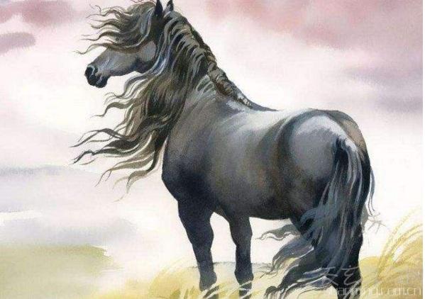 瞻予马首打一准确生肖详细解答、实时解答解释落实