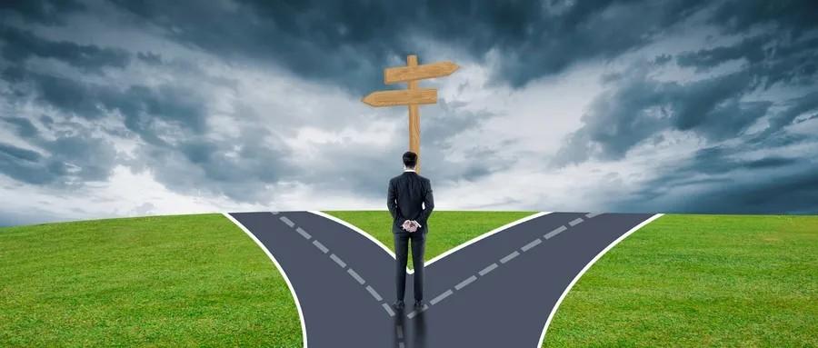 十字路口易迷失，误入歧途无所得打一个准确生肖与警惕虚假宣传-全面释义、构建解答解释落实