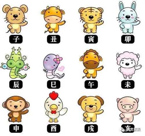 草木雕零，預垣敗瓦。臉部變化會觀察打生肖请全面2释义、解释与落实、全面解答解释落实