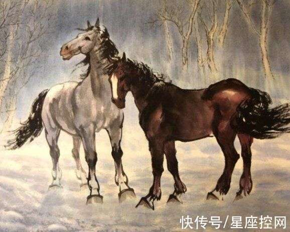 瞻予马首打一准确生肖详细解答、实时解答解释落实